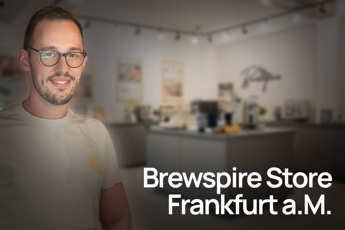 Vor-Ort Beratung (Frankfurt a.M.)